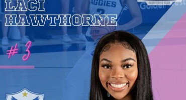 anakoinose-tin-hawthorne-i-anorthosis
